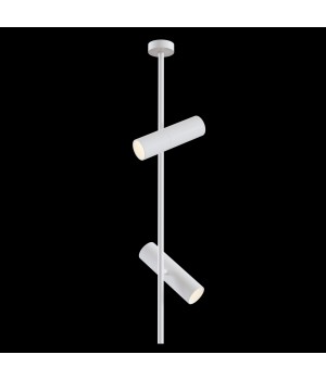 Потолочный светильник Technical C021CL-02W-foto5