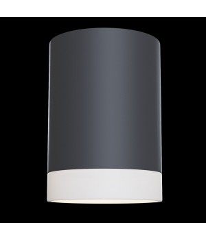 Потолочный светильник Technical C008CW-01B-foto4