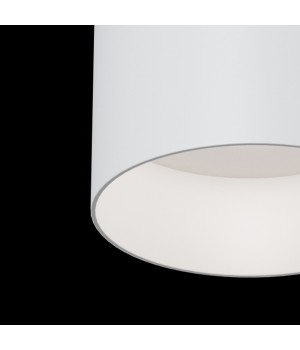 Потолочный светильник Technical C014CL-01W-foto2