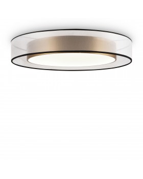Потолочный светильник Freya FR6005CL-L48G