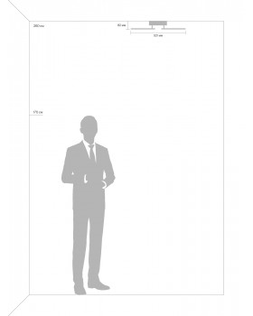 Потолочный светильник Freya FR10020CL-L70W-foto9