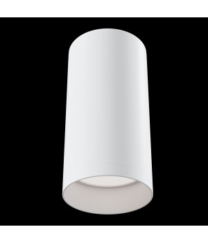 Потолочный светильник Technical C010CL-01W-foto2