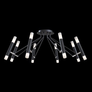 Потолочный светильник Maytoni MOD620CL-16B-foto2