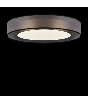 Потолочный светильник Freya FR6005CL-L48G-foto3