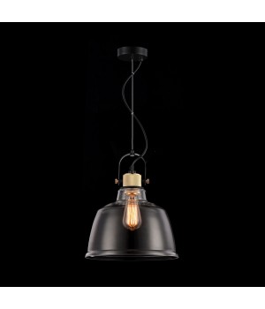 Подвесной светильник Maytoni T163PL-01W-foto2