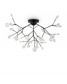 Потолочный светильник Freya FR5049CL-36B-foto2