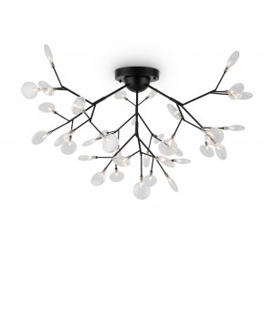 Потолочный светильник Freya FR5049CL-36B-foto2