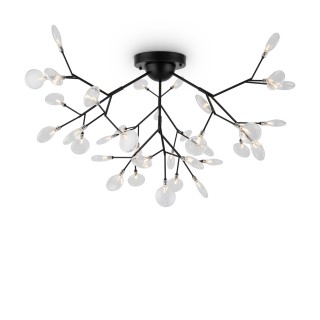 Потолочный светильник Freya FR5049CL-36B-foto2