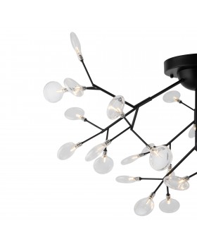 Потолочный светильник Freya FR5049CL-36B-foto4