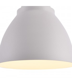 Подвесной светильник Maytoni P534PL-01W-foto4