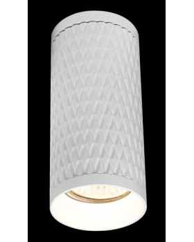 Потолочный светильник Technical C036CL-01W-foto4