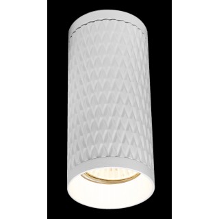 Потолочный светильник Technical C036CL-01W-foto4