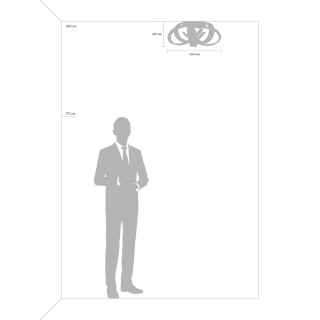 Потолочный светильник Freya FR10024CL-L93W-foto4