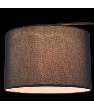 Напольный светильник (торшер) Maytoni Z328-FL-01-B-foto4