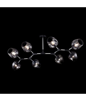 Потолочный светильник Freya FR5006CL-08B-foto2