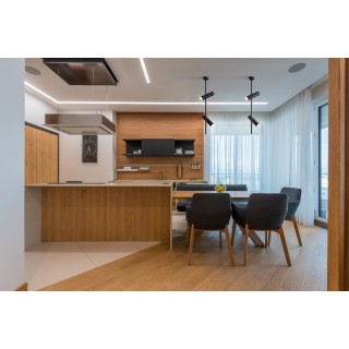 Потолочный светильник Technical C021CL-02B-foto3