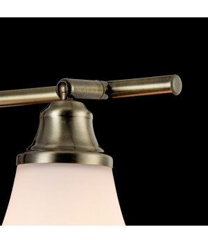 Спот Freya FR2272-CW-03-BS-foto7