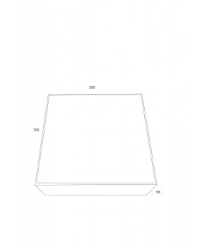Потолочный светильник Technical C067CL-L40W4K-foto3