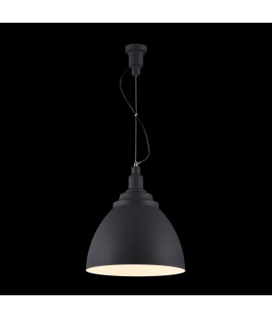 Подвесной светильник Maytoni P535PL-01B-foto3