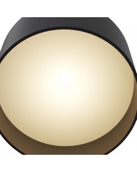 Потолочный светильник Technical C009CW-L12B-foto2