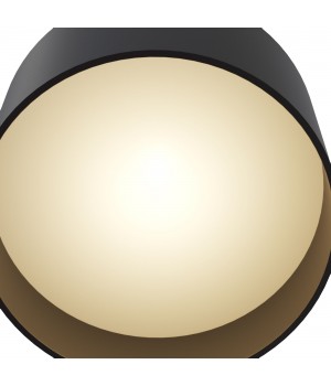 Потолочный светильник Technical C009CW-L12B-foto2