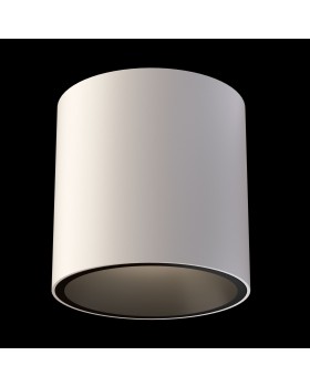 Потолочный светильник Technical C064CL-L12W4K-foto2