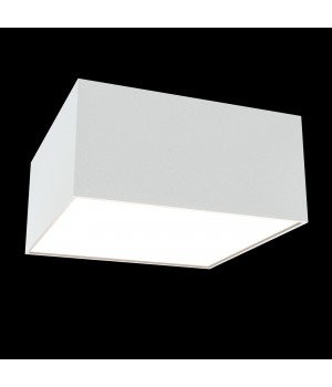 Потолочный светильник Technical C067CL-L12W4K-foto3