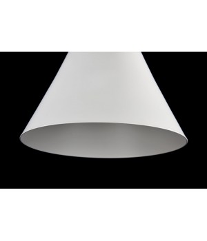 Подвесной светильник Maytoni P359-PL-01-W-foto4