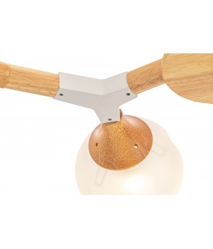 Потолочный светильник Freya FR5105CL-08W-foto5