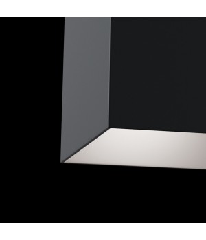 Потолочный светильник Technical C015CL-01B-foto2