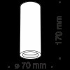 Потолочный светильник Technical C004CW-01W