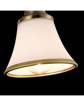 Спот Freya FR2272-CW-02-BS-foto5