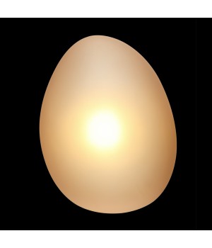 Настенный светильник (бра) Maytoni MOD004WL-L5CE3K-foto2