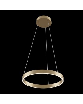 Подвесной светильник Maytoni MOD058PL-L22BS4K-foto6