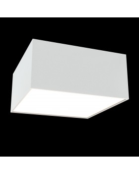 Потолочный светильник Technical C067CL-L12W3K-foto3