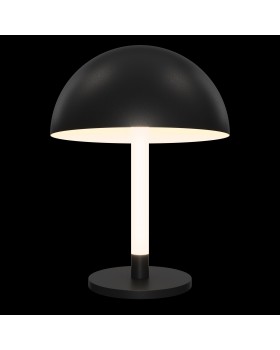 Настольный светильник Maytoni Z012TL-L8B3K-foto3