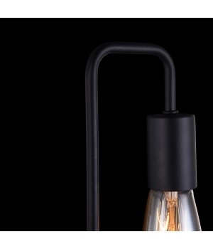 Настенный светильник (бра) Maytoni T532WL-02B-foto8