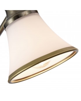 Спот Freya FR2272-CW-03-BS-foto4