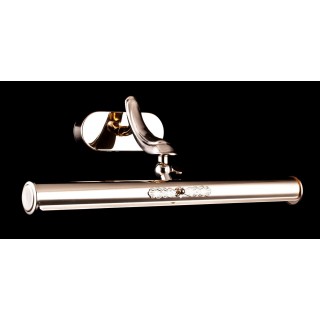 Подсветка Maytoni PIC113-02-G-foto3