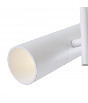 Потолочный светильник Technical C020CL-01W-foto7