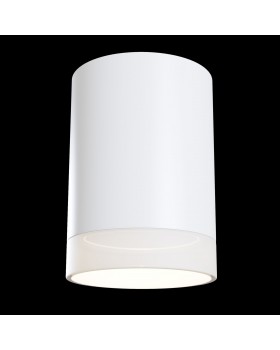 Потолочный светильник Technical C008CW-01W-foto3