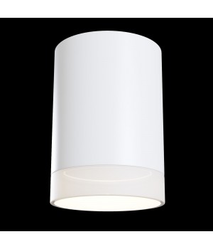 Потолочный светильник Technical C008CW-01W-foto3