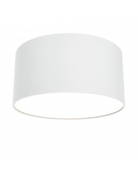 Потолочный светильник Technical C032CL-L12W3K-foto2