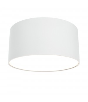 Потолочный светильник Technical C032CL-L12W3K-foto2