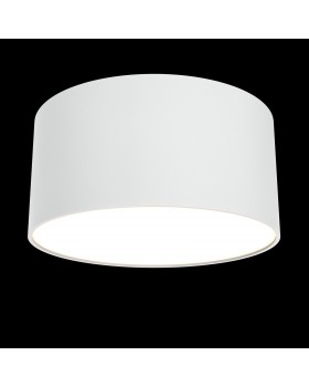 Потолочный светильник Technical C032CL-L12W3K-foto3