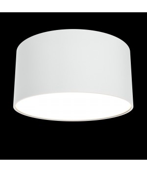 Потолочный светильник Technical C032CL-L12W3K-foto3