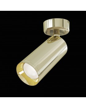 Потолочный светильник Technical C017CW-01G-foto5