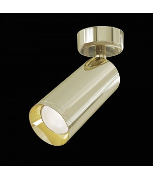 Потолочный светильник Technical C017CW-01G-foto5