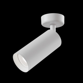 Потолочный светильник Technical C017CW-01W-foto3