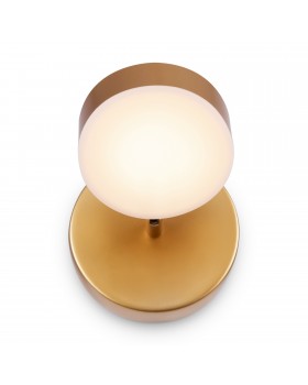 Спот Freya FR10009CW-L6MG-foto2